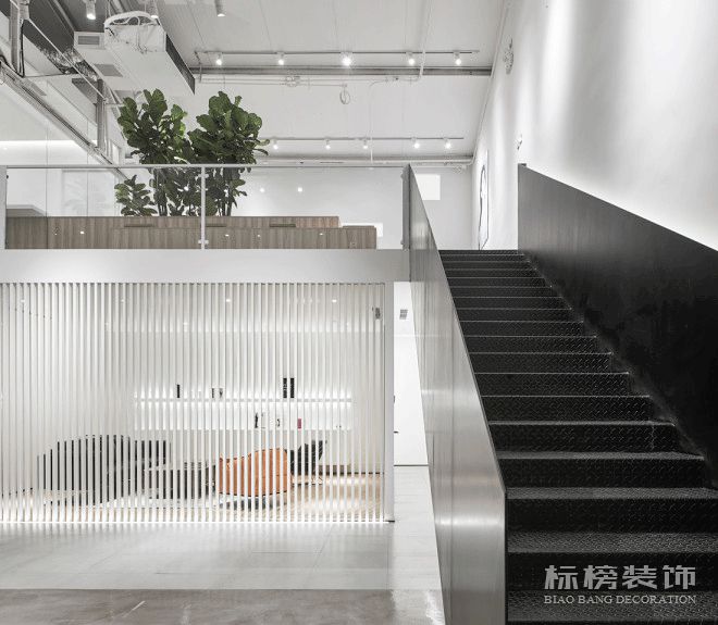辦公室植物擺放植物有哪些，怎么擺放比較好？
